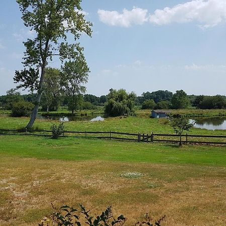 Gite 4Kms Plage Grand Domaine Prive Lacs Natura 2000 利和米克斯 外观 照片