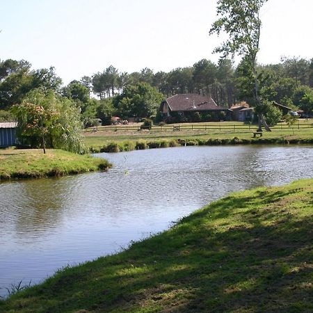 Gite 4Kms Plage Grand Domaine Prive Lacs Natura 2000 利和米克斯 外观 照片