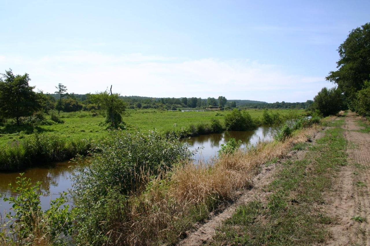 Gite 4Kms Plage Grand Domaine Prive Lacs Natura 2000 利和米克斯 外观 照片