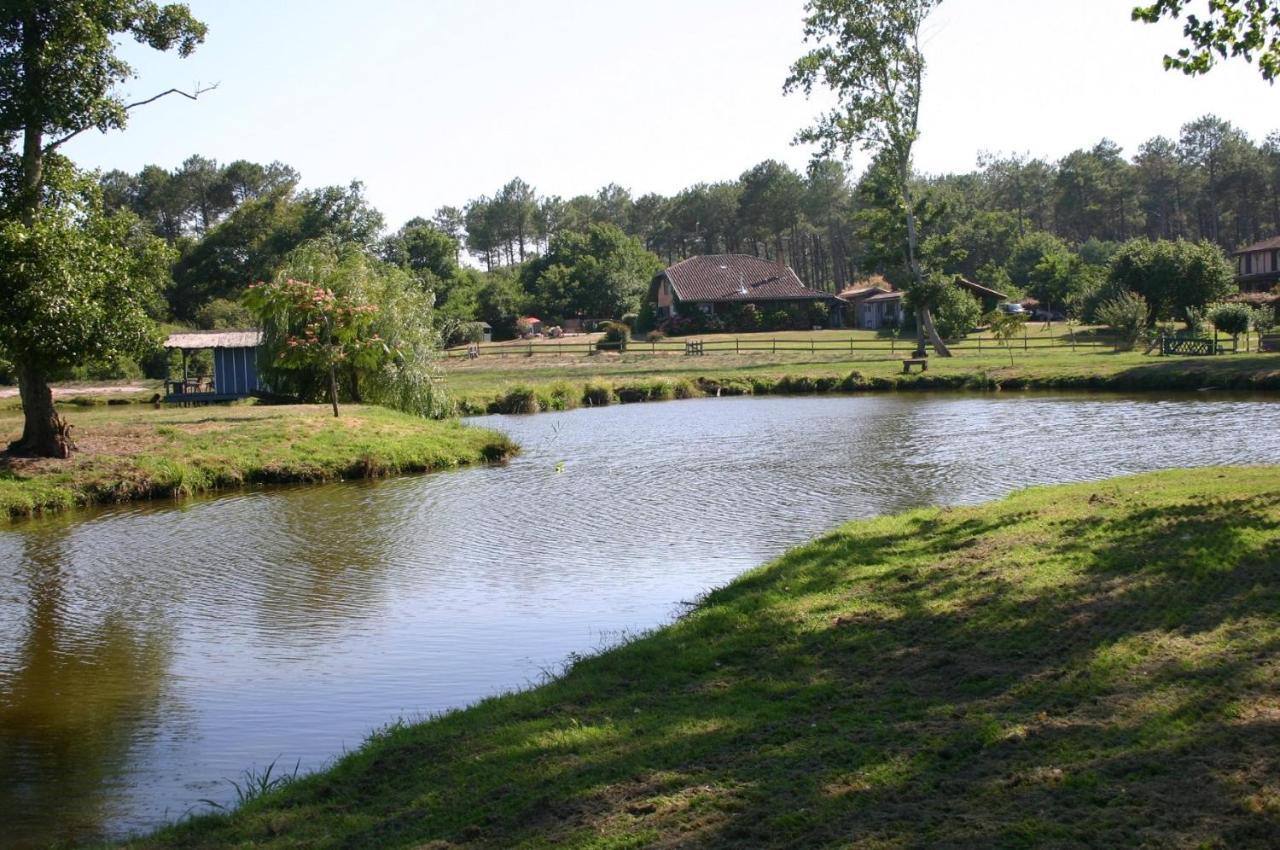 Gite 4Kms Plage Grand Domaine Prive Lacs Natura 2000 利和米克斯 外观 照片